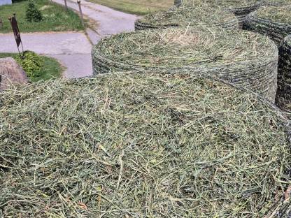 Bild 3:Erstklassiges Klee-Luzerne-Heu