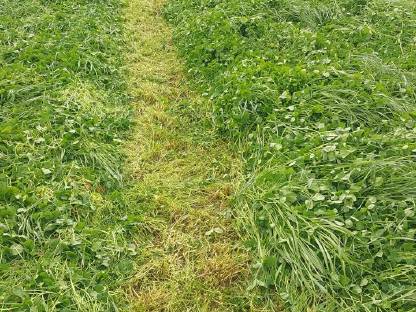 Bild 2:Kleegras, GPS, Maisballen