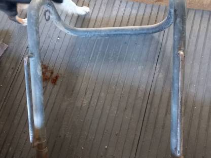 Aufstallung