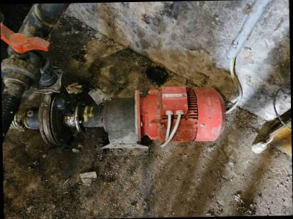 Bild 5:Flüssigfütterung Schauer mit UV-Lampe