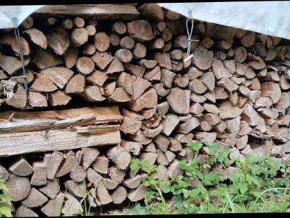 Brennholz