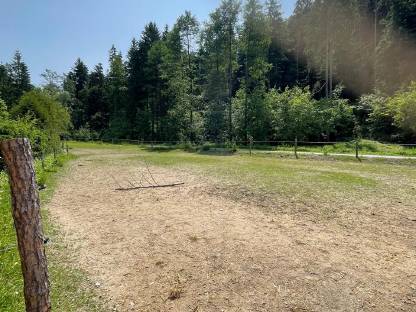 Bild 2:Einstellplatz für Pensionspferde