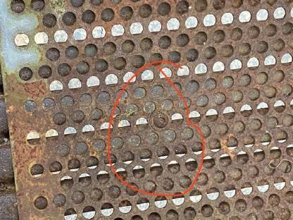 Bild 7:Gemüsewaschmaschine