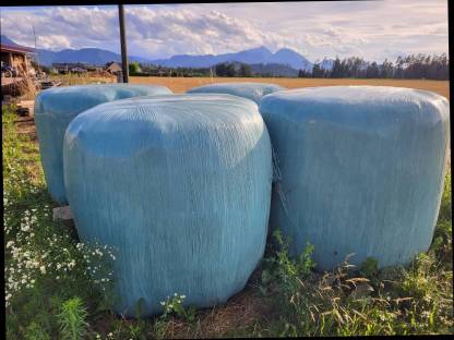 Silageballen