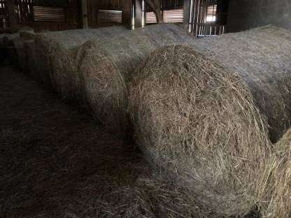 Bild 6:Heu Rundballen 1. und 2. Schnitt 2024