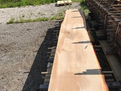 Bild 5:Tischlerholz, Holzpfosten, Eiche, Buche, Esche