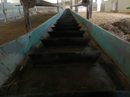 Bild 3:Futterförderband für Schafe, Ziegen, Kleinwiederkäuer
