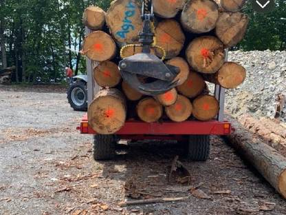 Bild 5:Rungenanhänger/Holzanhänger Palm Kran 675