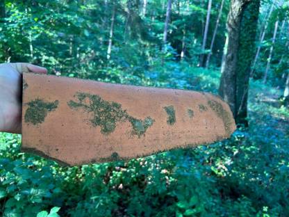 Bild 3:Bieberschwanzziegel