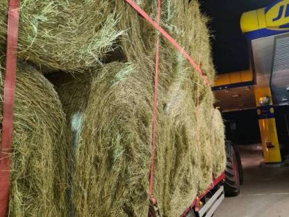 Bild 5:Heu Grummet