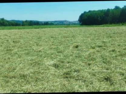 Bild 2:Suche Grünland- und Ackerflächen für biologische Heuerzeugung