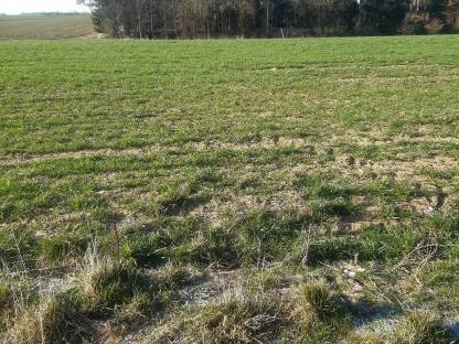 Acker und Wald
