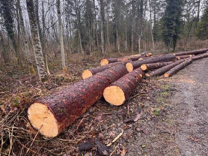 Bild 3:Brennholz und Forstarbeiten