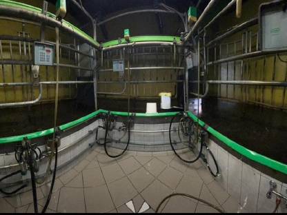 Bild 7:3er Tandem Melkstand GEA inkl. Waschautomat Turbostar 12 kW