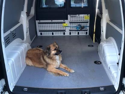 Bild 9:VW Caddy Maxi 2 l 140 PS Bj. 2015