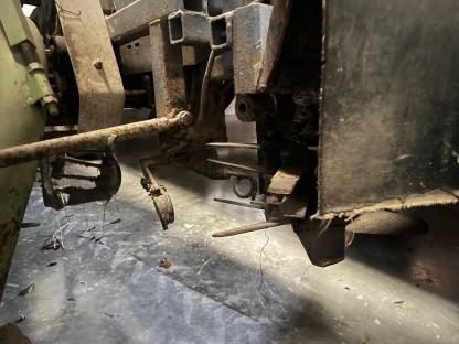 Bild 3:Sellerie Vollernter Stoll