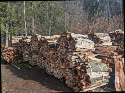 Buchen Brennholz Bündel