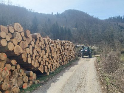Bild 4:Forstdienstleistung Forstarbeit in Niederösterreich
