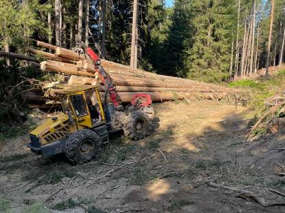 Bild 2:Suche Forstarbeiter, Prozessorfahrer, Schlepperfahrer