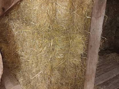 Bild 2:Strohpackerl