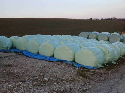 Silageballen