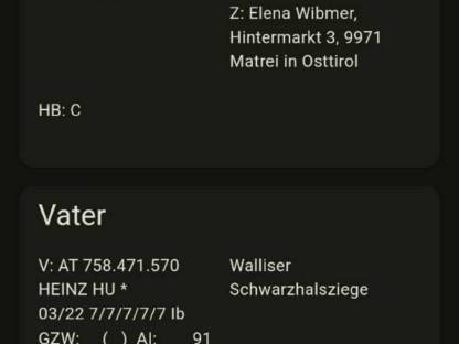 HB-fähige Walliser Schwarzhalsziegenböcke