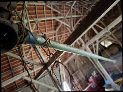 Bild 5:Körnerschnecke