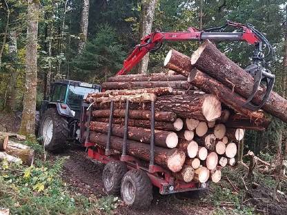 Bild 6:Forstanhänger, Rückeanhänger, Hölzhänger, Krananhänger