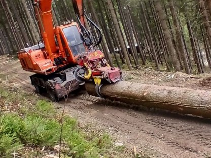 Bild 5:Forstdienstleistungen