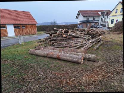 Bild 3:Brennholz