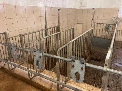 Aufstallung