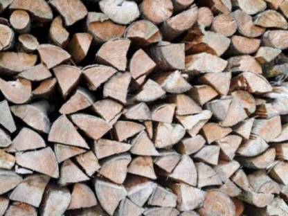 Bild 3:Brennholz