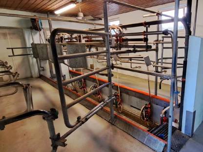 Bild 2:Melkstand 2x4 Swing Over Fischgräten