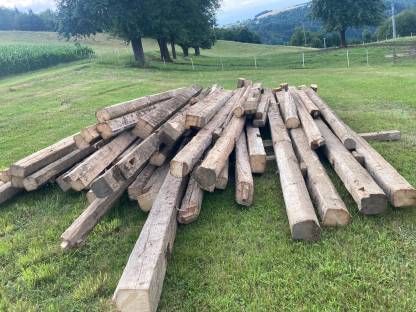 Altholz