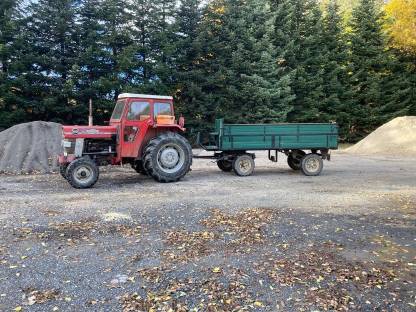 Bild 6:Holzschlägerung, Durchforstung, Windbruch