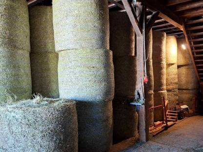 Bild 3:Heu Heuballen Rundballen Ernte 2025