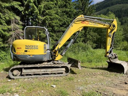 Kettenbagger Neuson 8003