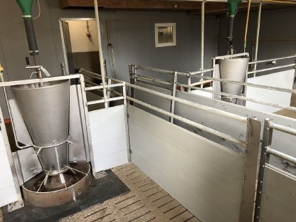 Bild 2:Aufstallung Schweine