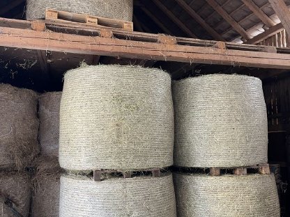 Bild 2:BIO-Heu 1. Schnitt 2025 in Rundballen