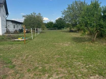 Bild 5:Einstellplatz in Offenstallhaltung