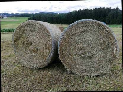 Bild 3:Qualitätsheu 1. Schnitt Pferdeheu unverregnet