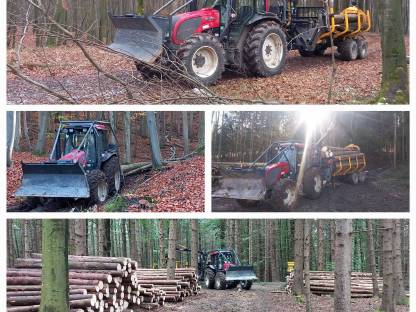 Holzschlägerung und Bringung