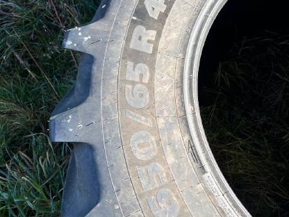 Bild 2:Michelin Multibib 650/65R42