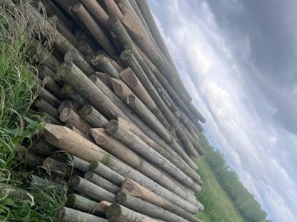 Holzpflöcke