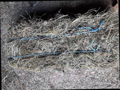 Bild 2:Kleine Heuballen