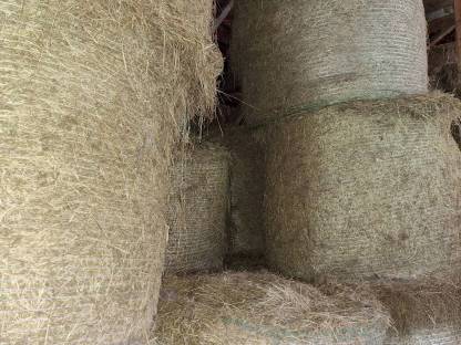 Bild 2:Heuballen aus 2020