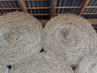 Rundballen Heu