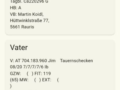 Bild 6:Joker Tauernscheck Bock