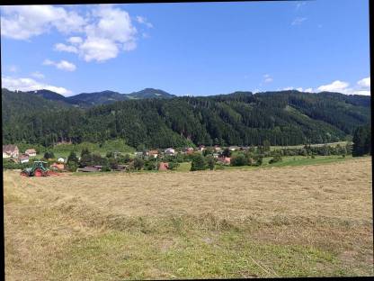 Bild 5:Bio Heu Rundballen Heuballen