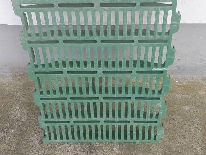 Schweineaufstallung